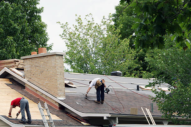 Best Green or Eco-Friendly Roofing Solutions  in Burke, VA